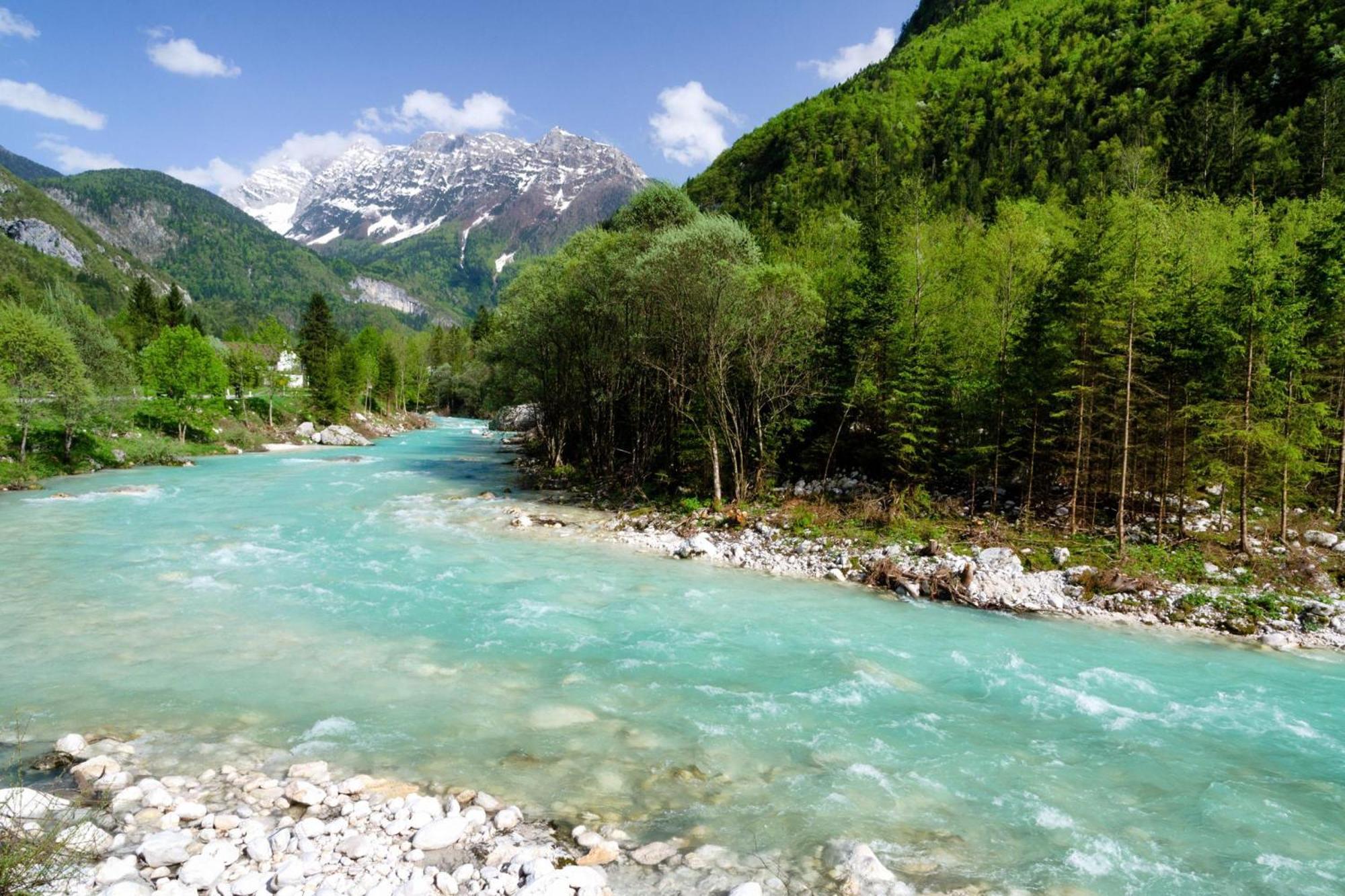 House By The Stream - Happy Rentals Avce Esterno foto