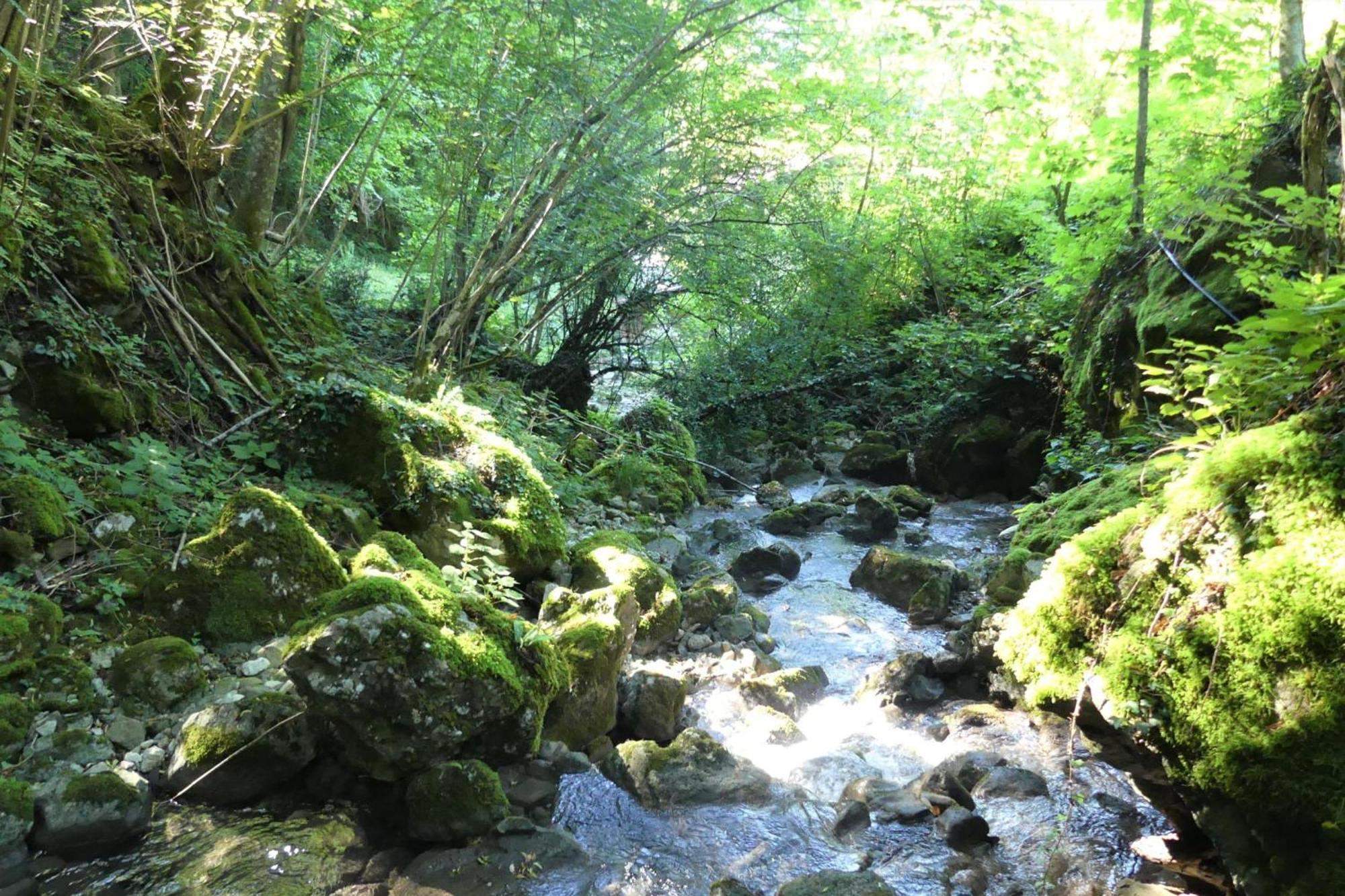 House By The Stream - Happy Rentals Avce Esterno foto