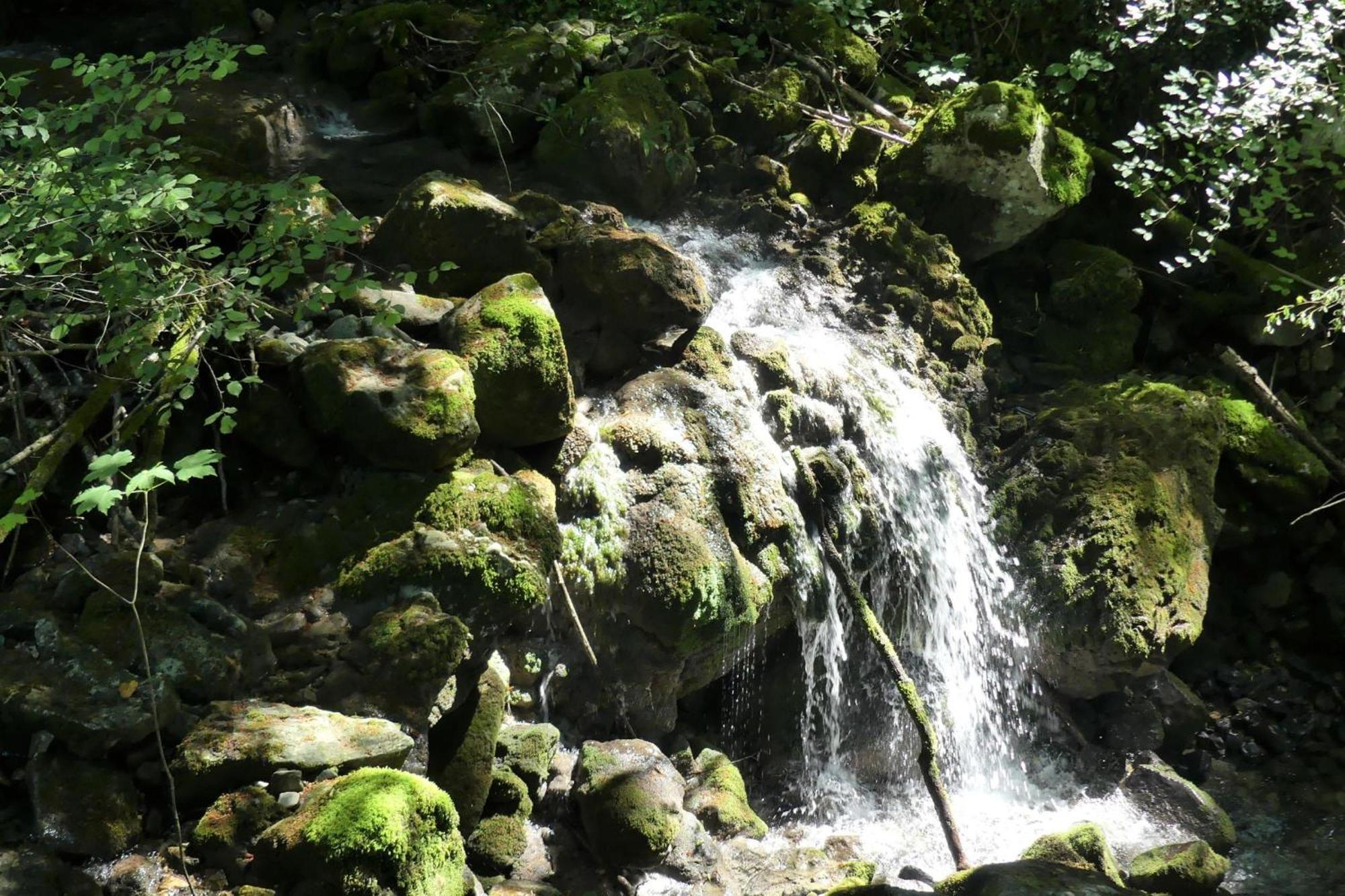 House By The Stream - Happy Rentals Avce Esterno foto