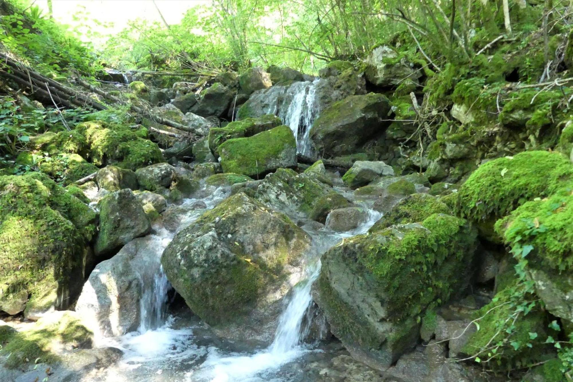 House By The Stream - Happy Rentals Avce Esterno foto