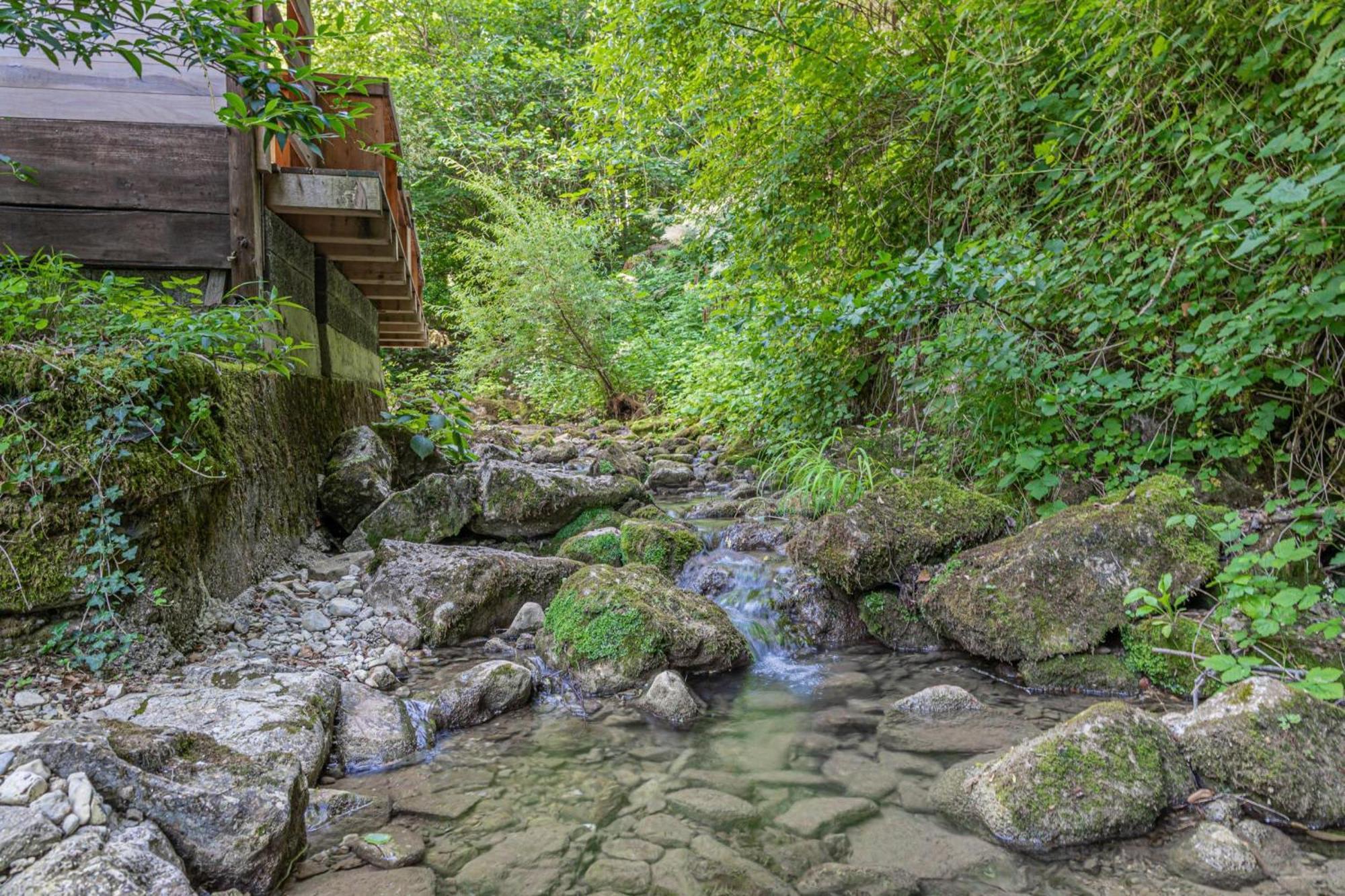 House By The Stream - Happy Rentals Avce Esterno foto