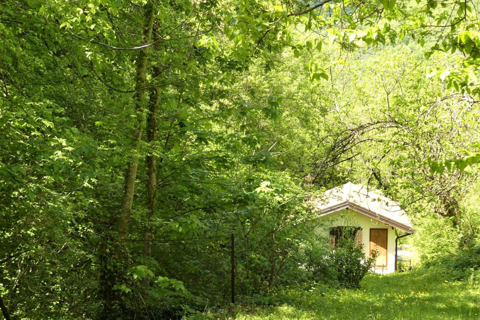 House By The Stream - Happy Rentals Avce Esterno foto