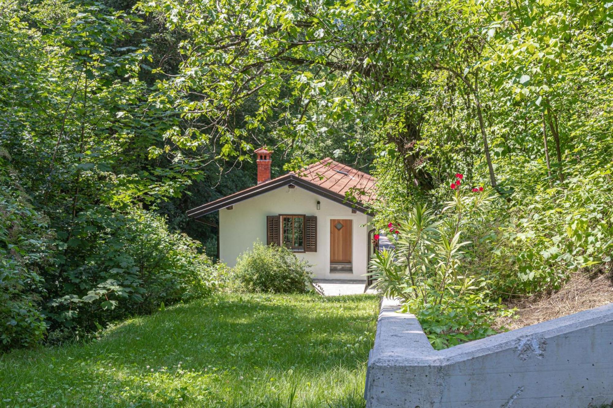 House By The Stream - Happy Rentals Avce Esterno foto